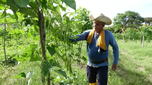 Agricultores de Portoviejo: entre el alivio momentáneo y el temor ante el fenómeno de El Niño