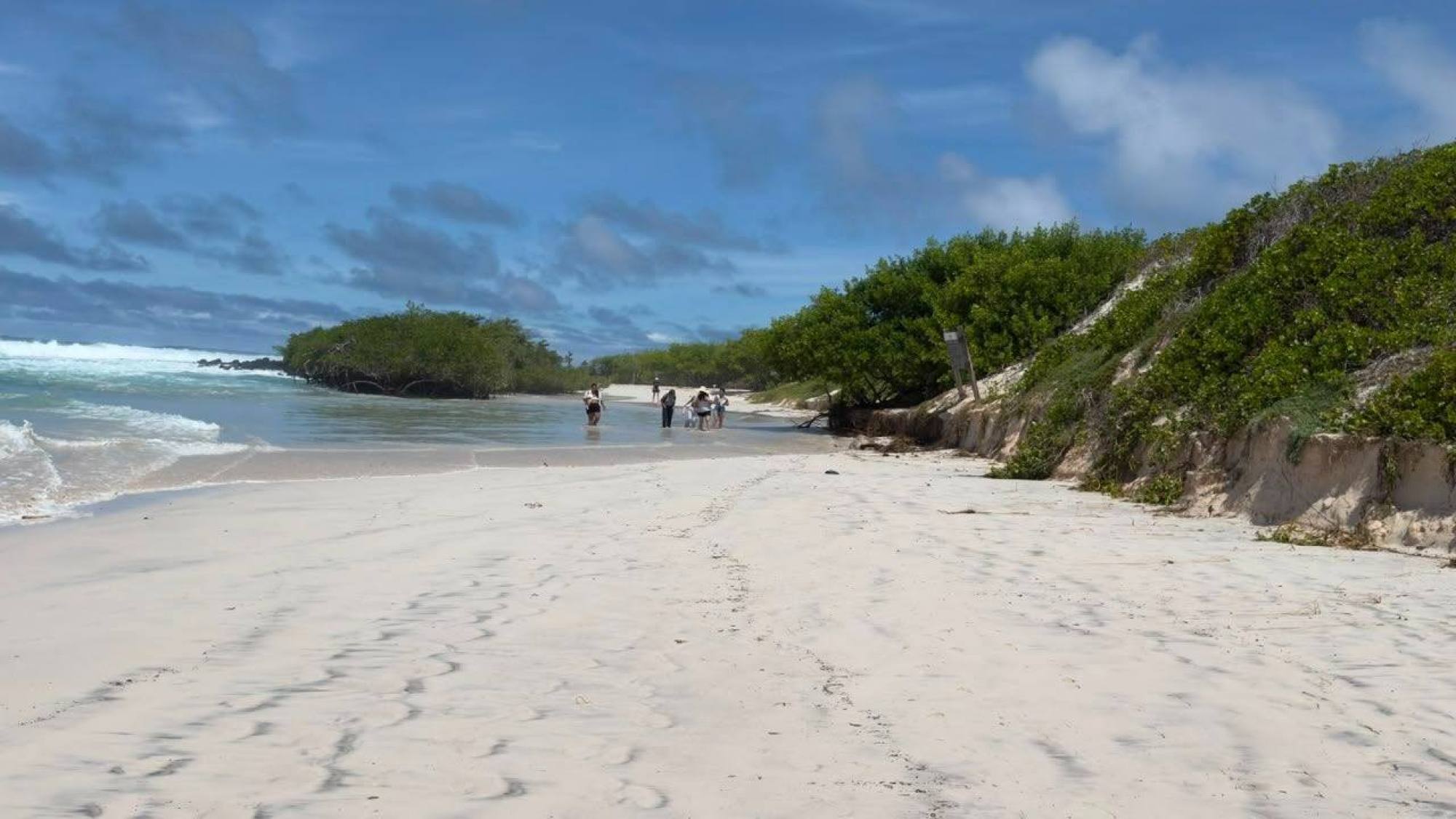 Tortuga Bay restringe acceso por mar agitado y oleaje de alt