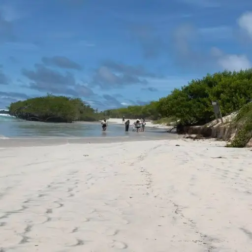 Tortuga Bay restringe acceso por mar agitado y oleaje de alta energía en Galápagos
