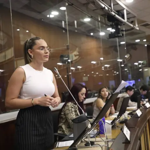 Asamblea Nacional aprueba primer debate de reformas al COIP