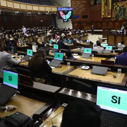 Asamblea Nacional definirá nueva Primera Vicepresidencia el próximo 10 de junio