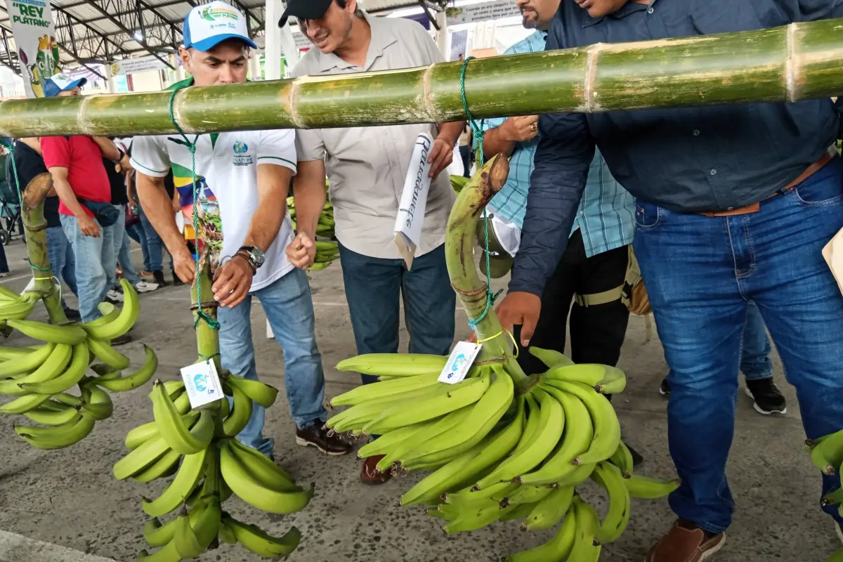 Dirigentes consideran que la fusión no constituye la mejor solución para fortalecer al sector., El Diario