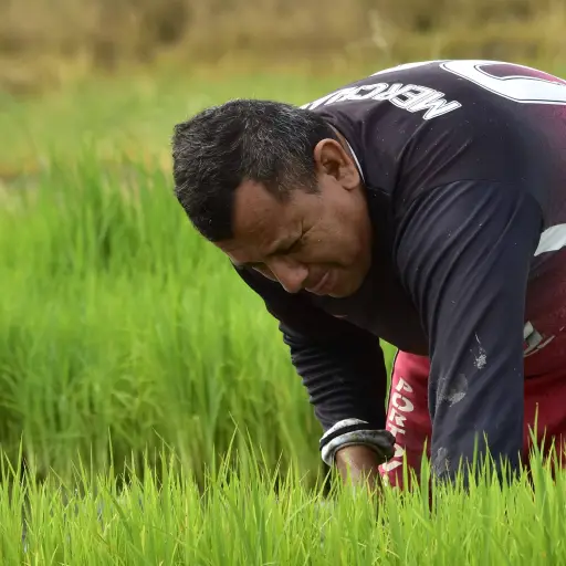 Agricultores de Manabí enfrentan demoras de hasta tres años para legalizar sus predios rurales
