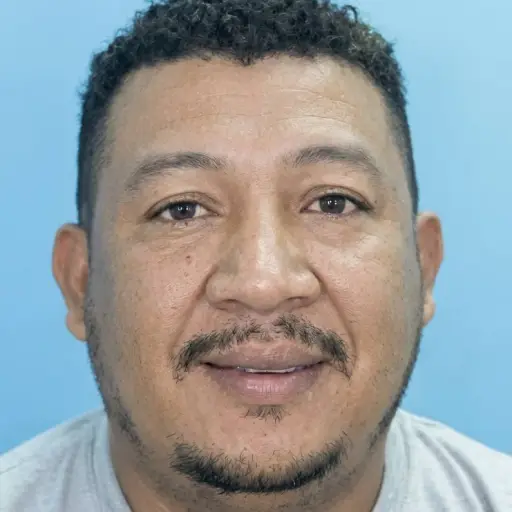 Foto embed