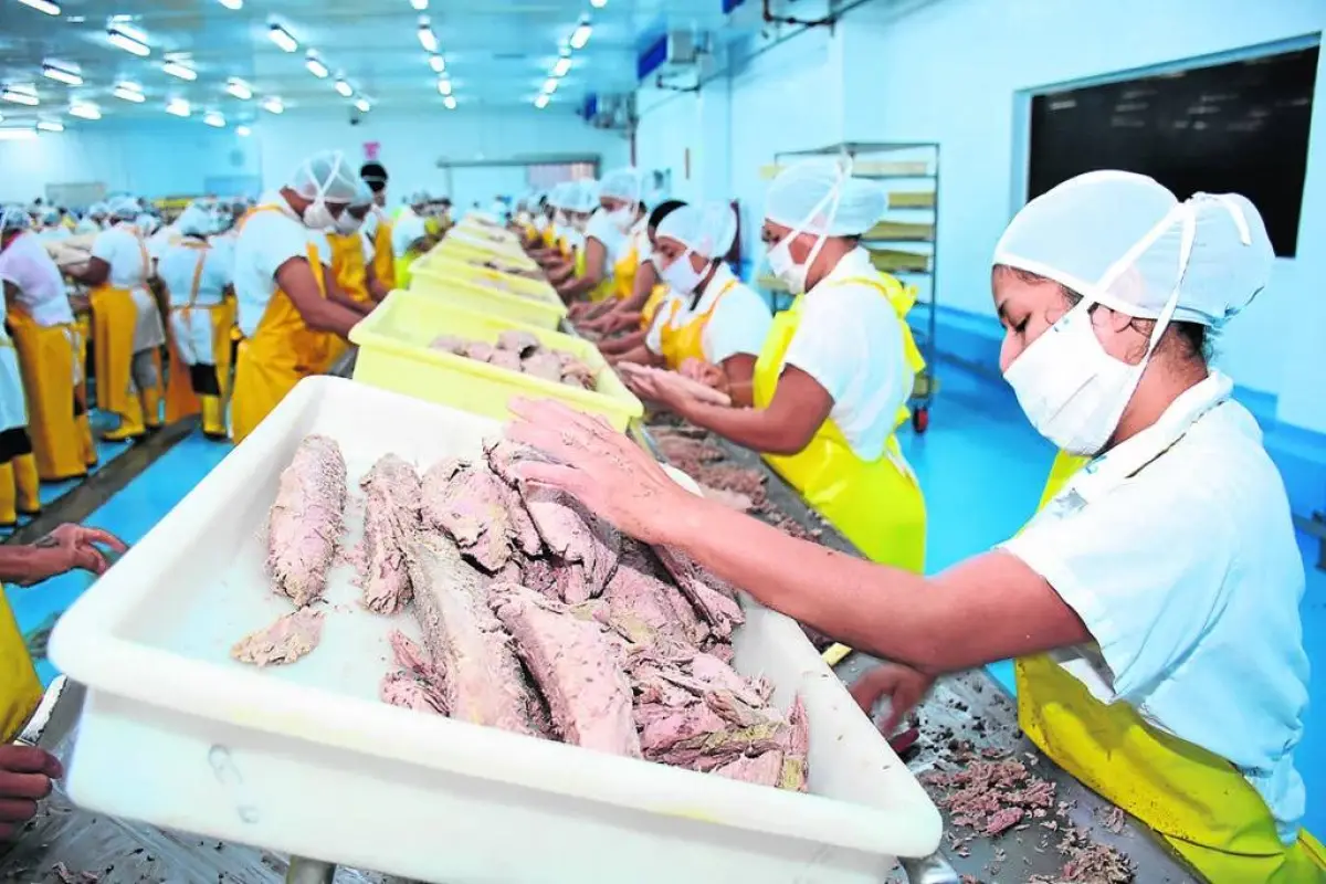 La industrialización de productos pesqueros se concentra en tres cantones, El Diario
