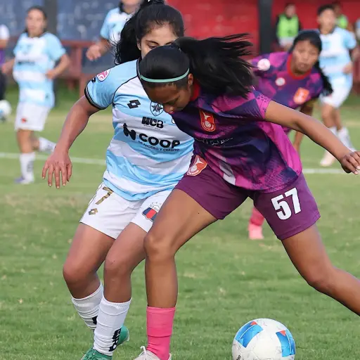 Clubes deportivos en Ecuador ya pueden transformarse en Sociedades Anónimas Deportivas (SAD)