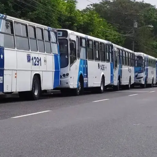 Concejo de Guayaquil aprueba en primer debate ajuste progresivo de tarifa de pasaje urbano