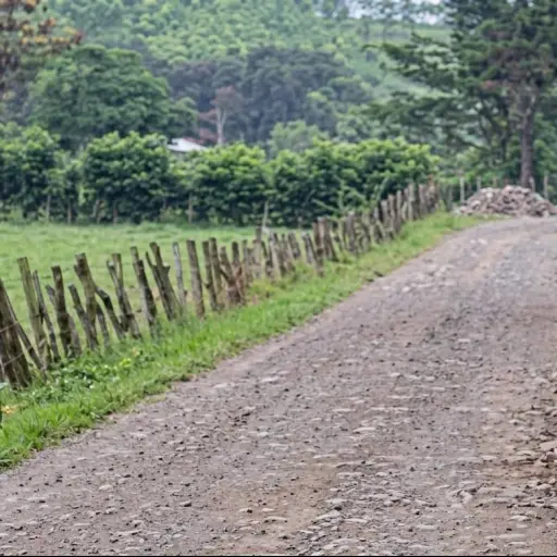 ¿Quiénes eran? Identifican a los dos hombres asesinados en el sector del Cristo Negro en el cantón Tosagua