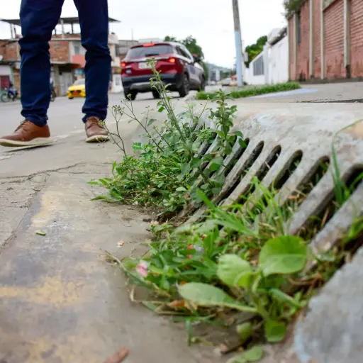 Limpieza de 7 mil sumideros busca reducir riesgos de inundaciones por lluvias intensas