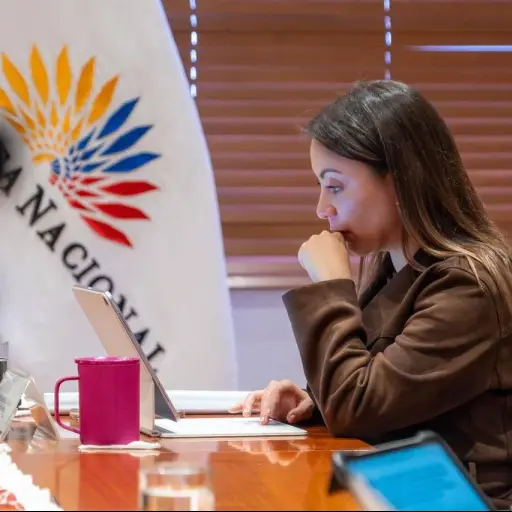 Asamblea Nacional otorga 60 días a Mishel Mancheno para definir la agenda parlamentaria que guiará su gestión