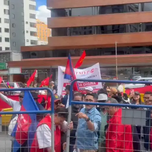 Organizaciones sociales insisten en revocatoria del mandato de Daniel Noboa ante el CNE