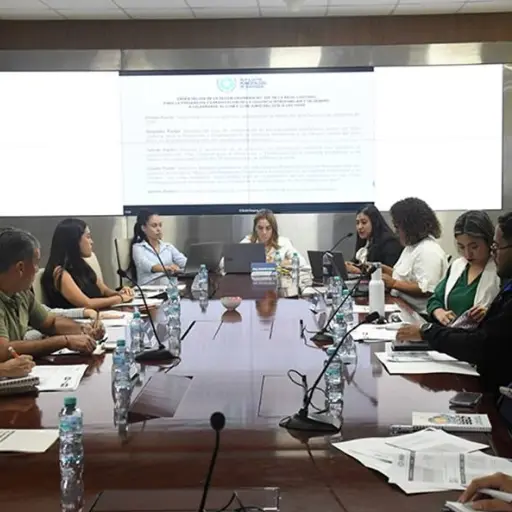 Mesa Cantonal de Guayaquil reporta 86,66 % de avance en políticas de prevención de violencia de género