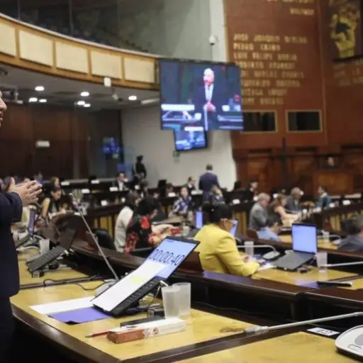 La Asamblea Nacional fiscalizará patrimonios de alcaldes y prefectos