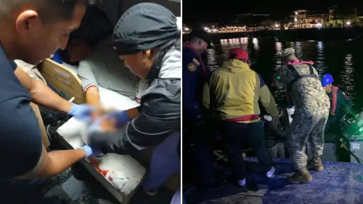 Emergencia en Galápagos: Un tiburón mordió a un pescador a 400 millas de las islas 