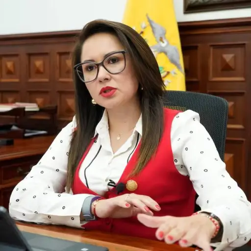 Ministra de Gobierno cuestiona revocatoria de mandato impulsada por Iza y señala falta de pruebas