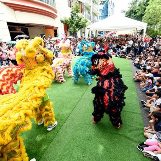 Guayaquil acogerá la Fiesta del Bote del Dragón con un desfile náutico y actividades culturales