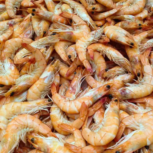 El Virus de la Mancha Blanca reaparece y puede complicar las exportaciones del camarón ecuatoriano
