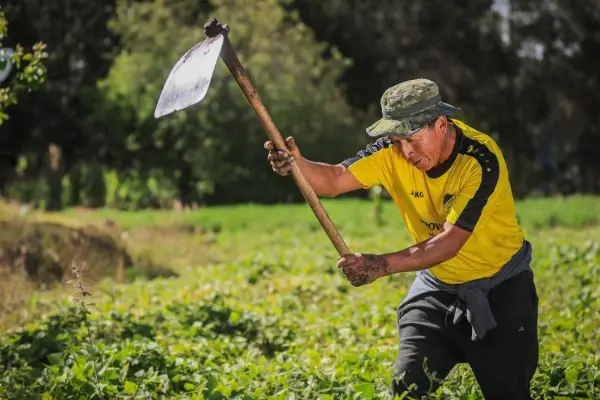 ¡Sin intermediarios! así es el proyecto que busca conectar a productores y consumidores en Ecuador.