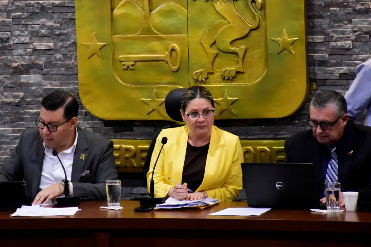 La vicealcaldesa María Isabel Guillén, presidió la sesión del concejo municipal., El Diario