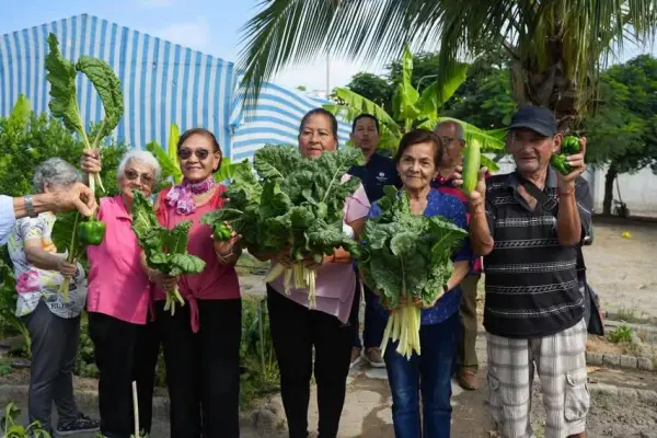 El huerto municipal se convierte en un espacio de esperanza para los adultos mayores de Manta. ,El Diario