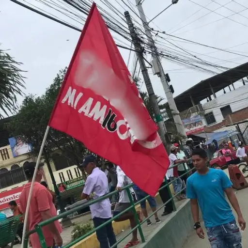 ¿Por qué el TCE suspendió al movimiento Amigo antes de las elecciones seccionales?