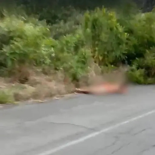 Padre e hijo son encontrados asesinados en Bahía