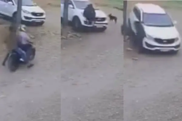 Conductor evita un presunto secuestro tras embestir a un sospechoso en Quinindé