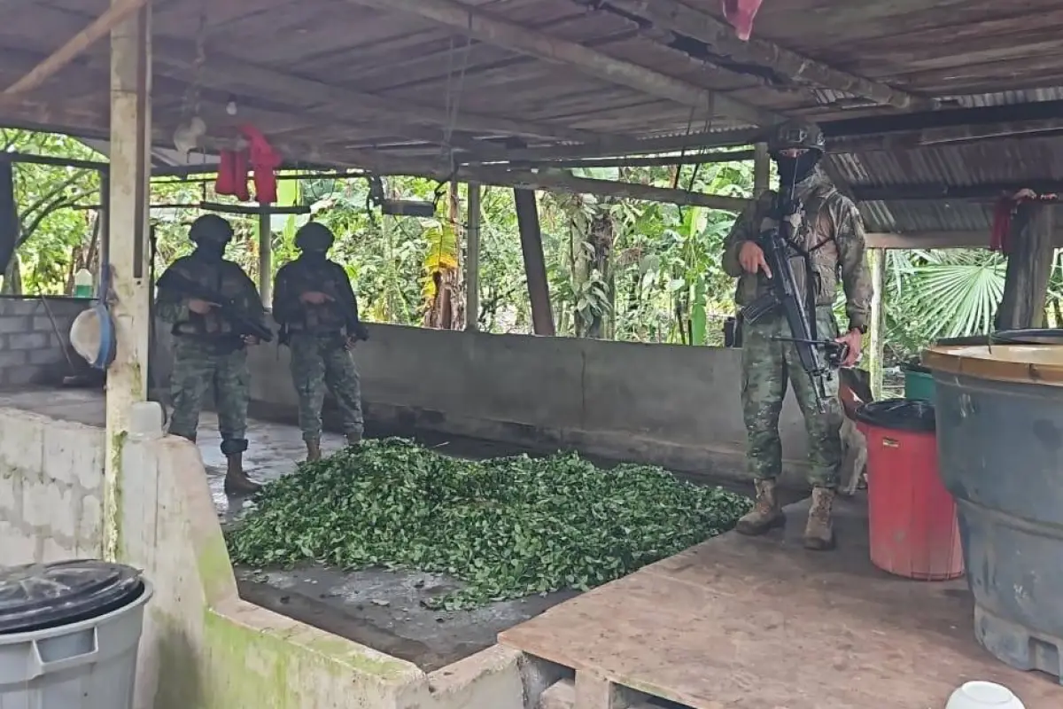 Los militares intervinieron una amplia zona donde hallaron cultivos de coca., Cortesía