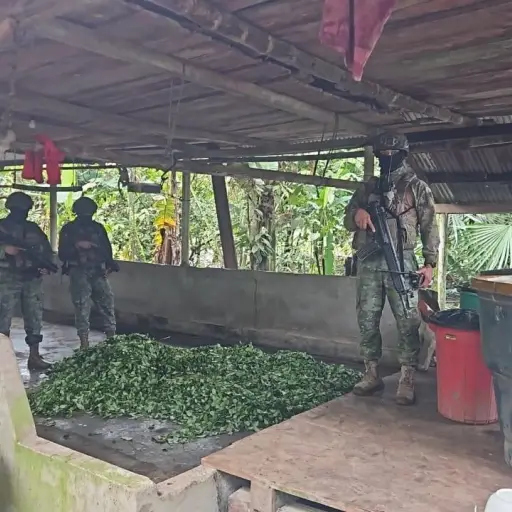Ecuador intensifica operativos militares en frontera norte y desmantela cultivos de coca