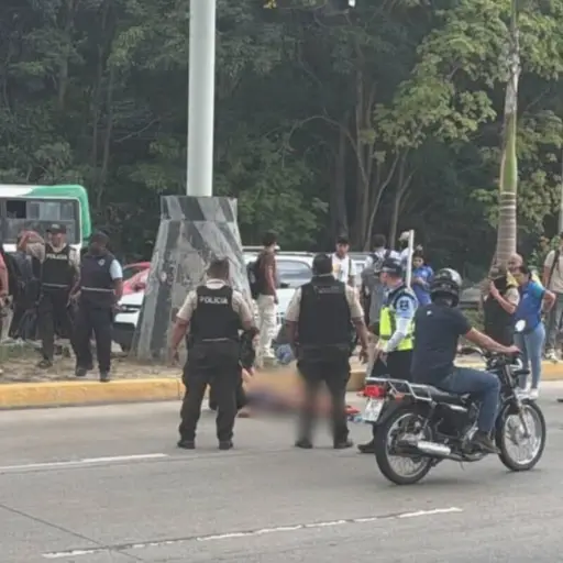 Estudiante universitario murió luego de caer desde un puente peatonal, en Machala
