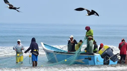 Banecuador impulsa la pesca artesanal en Manta con financiamiento flexible de hasta $250.000, pero el sector busca más beneficios