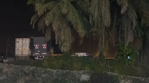 ¿Qué pasó con los caballos en El Carmen? Dos muertes tras la cabalgata desatan cuestionamientos