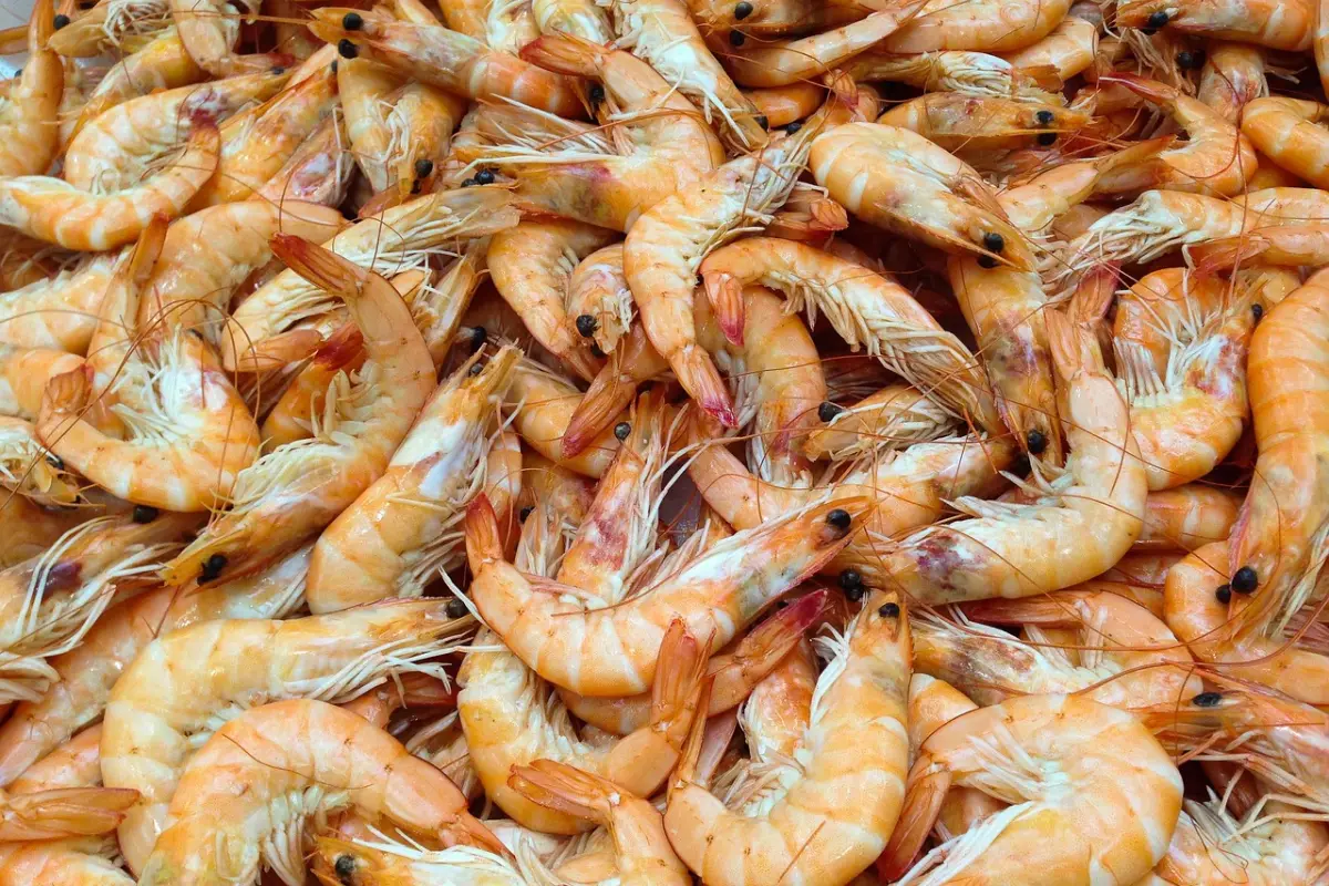 Ecuador ocupa el primer lugar a nivel mundial tanto en la producción como en la exportación de camarón