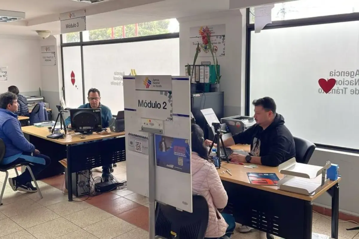 Usuarios llegan a las instalaciones de la ANT para obtener su licencia de conducir.