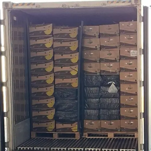 Interceptan un camión en Pasaje y descubren millonario cargamento de droga con destino a Europa