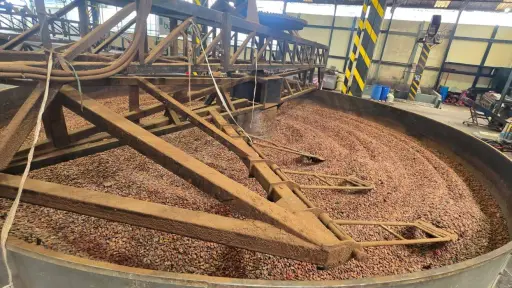 Santo Domingo fortalece su liderazgo como centro de acopio y exportación de cacao 