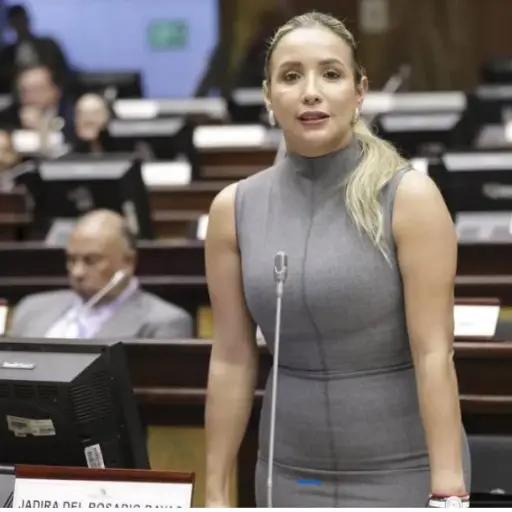 Gorras, pollos y palas: los videos que ponen a la asambleísta Yadira Bayas bajo la lupa antes de las seccionales de 2026