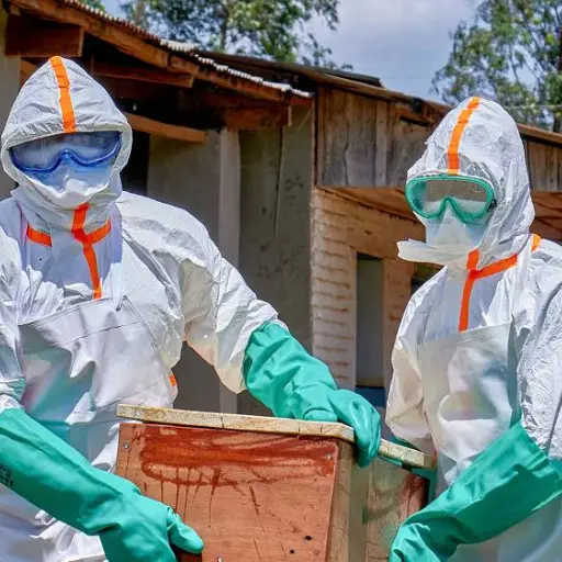 El brote de ébola en RD Congo causó más de 500 muertes, según la OMS