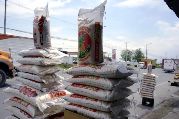 Arroz ecuatoriano aún espera cruzar la frontera: exportaciones por tierra se reanudarían el 20 de julio