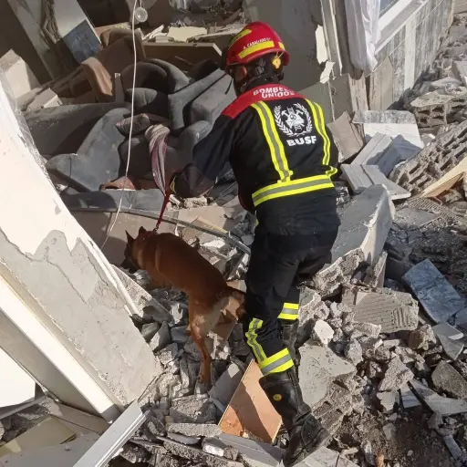 Siete periodistas han muerto por los terremotos en Venezuela