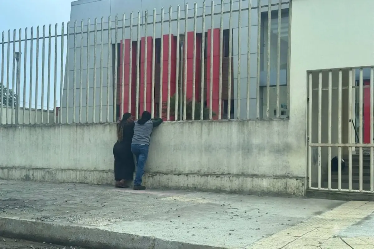 Salió a trabajar como todos los días y murió tras el golpe de un enorme árbol en Santo Domingo