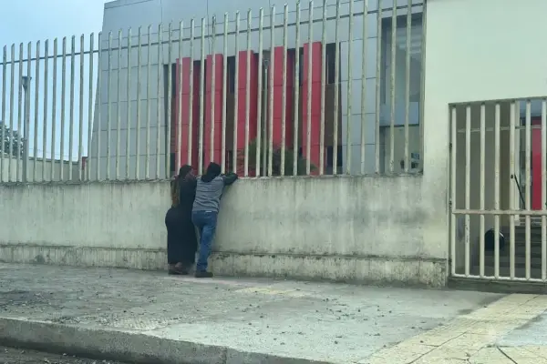 Salió a trabajar como todos los días y murió tras el golpe de un enorme árbol en Santo Domingo