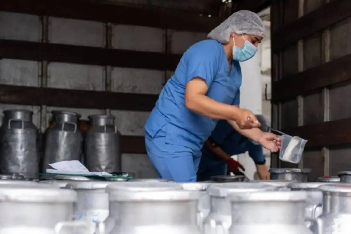 productores