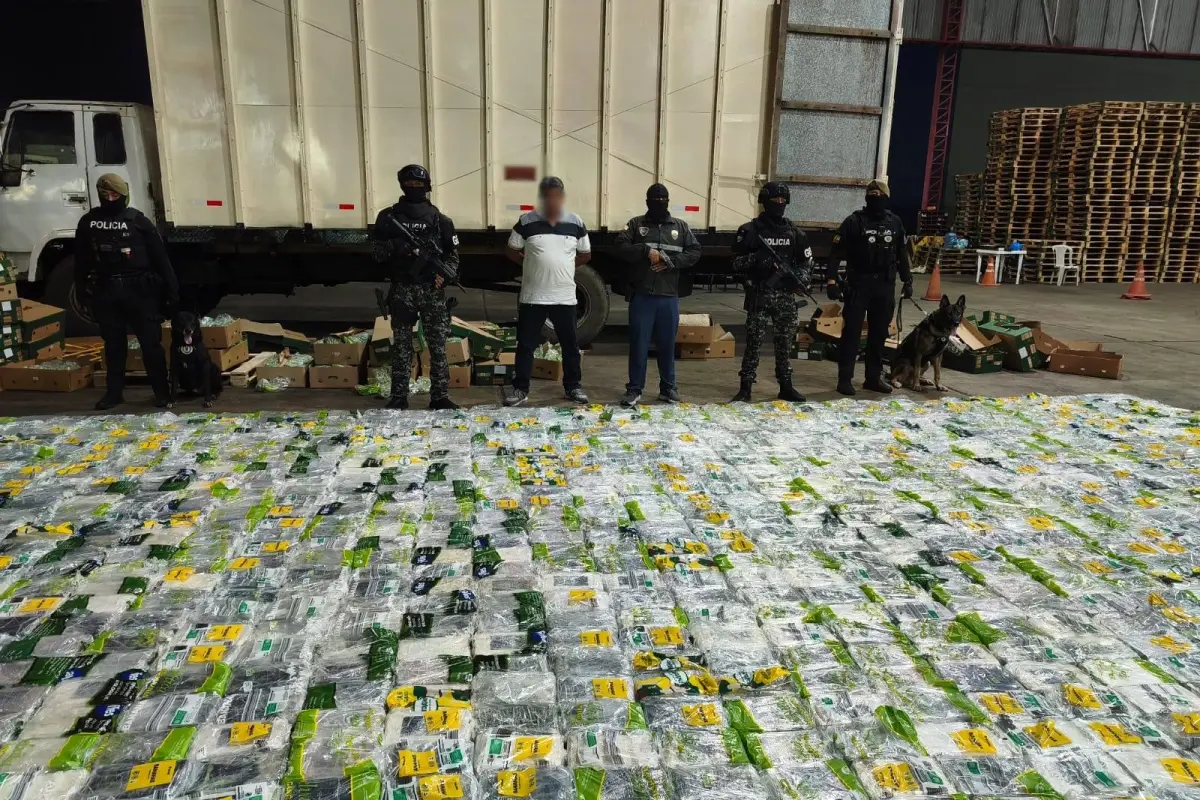 La droga estaba lista para ser enviada a Europa., Cortesía