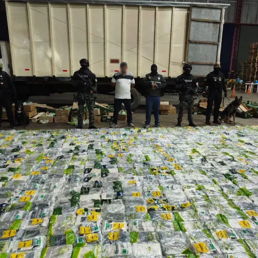 Decomisan más de una tonelada de cocaína oculta en bananos con destino a Inglaterra