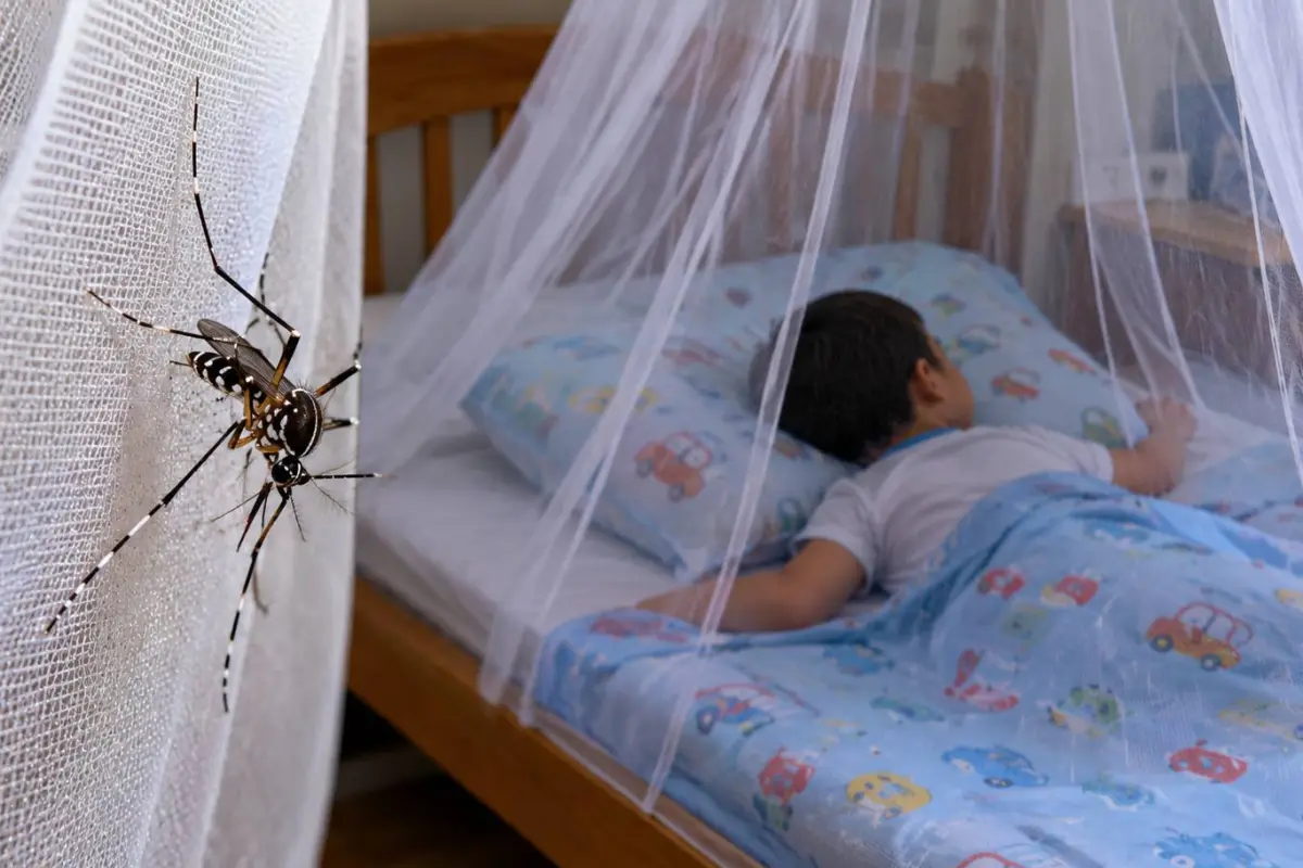 El uso de repelentes y mosquiteros ayuda a proteger a los niños de las picaduras del mosquito transmisor del dengue., Cortesía.