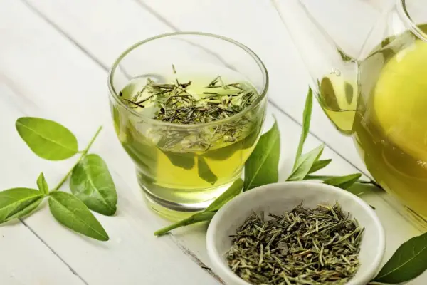 El té verde ha ganado mucha popularidad durante los últimos años.