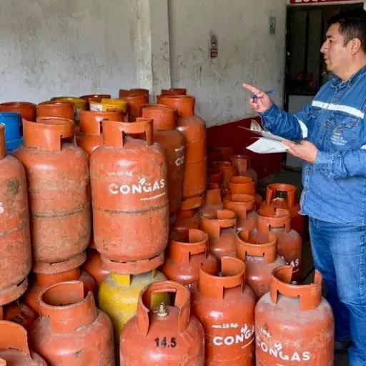 El precio del gas doméstico sería superior a 10 dólares en Ecuador si no hubiera subsidio estatal