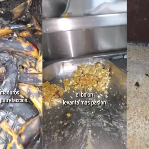 Lo que encontró Arcsa en la cocina de un conocido café de Guayaquil provocó su clausura inmediata