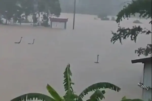 900 serpientes invaden decenas de hogares luego de escaparse de una granja tras graves inundaciones  